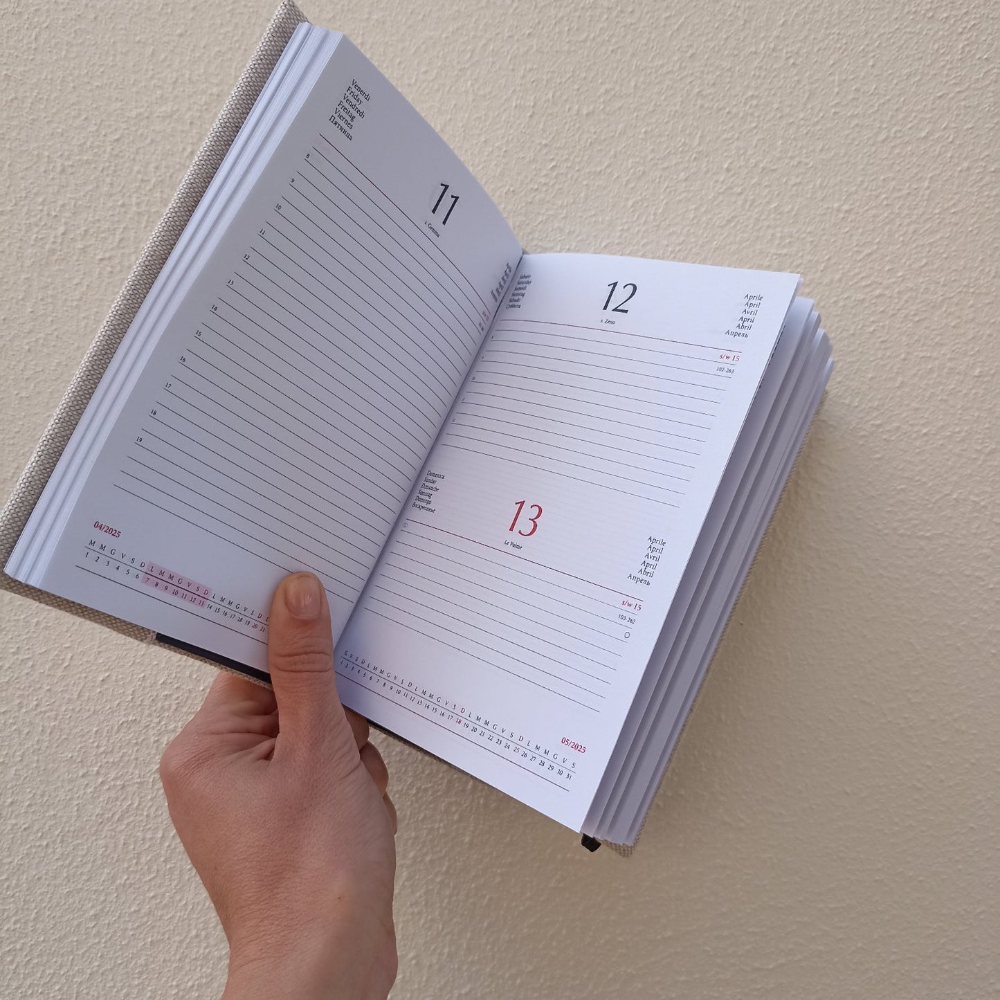 Agenda Piccola PROCASTINARE 2025