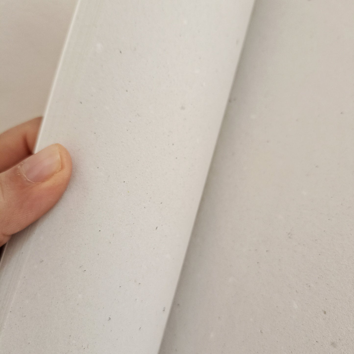 Quaderno Luminarie