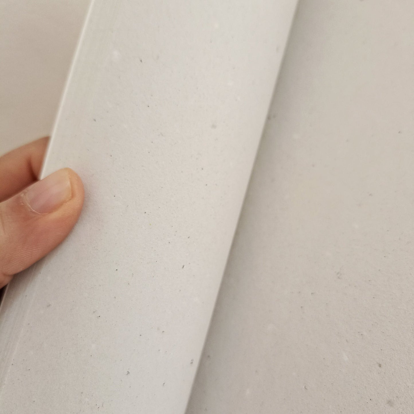 Il DIARIO della GRATITUDINE bianco/rosa